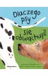 Dlaczego psy si� obw�chuj�?