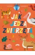 Jak jedz� zwierz�ta