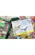 Puzzle Dinozaury. Poznawaj, baw si�, odkrywaj Wilga Play