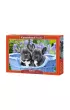 Puzzle 1000 el. Szczeni�ta buldoga francuskiego Castorland