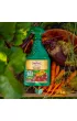 Substral �rodek owadob�jczy Multi Insect do zwalczania mszyc 750 ml