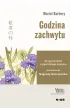 Godzina zachwytu