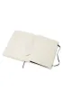 Moleskine Notes Classic linia