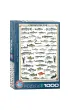Puzzle 1000 el. Ryby s�odkowodne Eurographics