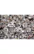 Puzzle 1000 el. Czarno-bia�e zwierz�ta Cobble Hill