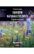 Projektowanie ogrod�w naturalistycznych. Podstawowe zasady