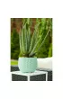 ProGarden Sztuczny Aloes w donicy 45 cm Zielony