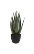 ProGarden Sztuczny Aloes w donicy 45 cm Zielony