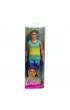 Barbie Fashionistas. Ken HYV00 Mattel