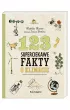 123 superciekawe fakty o klimacie