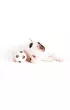 Pi�ka futbolowa piszcz�ca 7 cm Tullo