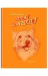 Dzi�ki, Winn-Dixie!