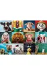 Puzzle 1000 el. �mieszne zwierz�ta, L.Hefferna Eurographics