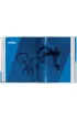 The adidas Archive. The Footwear Collection. 40th Ed. wer. angielska