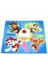 Boom Boom. Paw Patrol