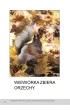 Jesie�. Bardzo proste czytanki dla dzieci