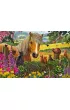 Puzzle 150 el. PQ Mi�e spotkanie Schmidt