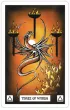 Dragon Tarot, karty do wr�enia