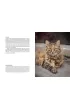 City Cats of Istanbul
