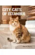 City Cats of Istanbul