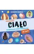 Fotokarty Cia�o Uniwersalna pomoc edukacyjna