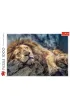 Puzzle 1000 el. �pi�cy lew Trefl