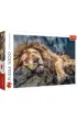 Puzzle 1000 el. �pi�cy lew Trefl