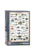 Puzzle 1000 el. Ryba morska Eurographics