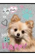 St. Majewski Zeszyt A5 My Little Friend linia 16 kartek