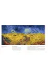 Vincent Van Gogh