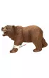 Nied�wied� Grizzly