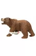 Nied�wied� Grizzly