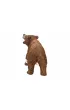 Nied�wied� Grizzly