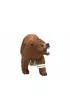 Nied�wied� Grizzly