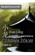 Jedwab i porcelana: Czarny żółw – Dawid Juraszek – okładka ebook