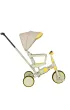 Rowerek tr�jko�owy TRIKE FIX V4 ��to-szary z daszkiem