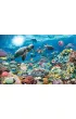Puzzle 5000 el. G��bia Oceanu Ravensburger