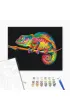 Brushme Malowanie po numerach - T�czowy Kameleon 40x50cm