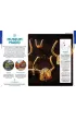 Denmark & the Faroe Islands. Lonely Planet