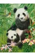 Puzzle 300 el. Panda Brunch Castorland