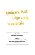 Przygody kr�liczka Barta i s�wki Kui Bajki sensoryczne