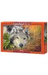 Puzzle 500 el. Wilk Castorland