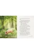 �winia Malwina
