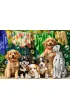 Puzzle 500 el. Puppies, Laundry and Bird Antics Castorland