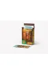 Karty do gry Piotru� Brainrot Tung tung Sahur ALEXANDER 3151