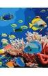 Ideyka Malowanie po numerach - �ycie oceanu 40x50cm