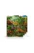 Puzzle 1000 el. Imagination: Ernst Haeckel Muscinae Good Loot