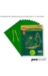 Wydrapywanka hologramowa A4 z�oto-zielona Polsirhurt