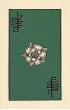 Smith-Waite Tarot Deck Borderless