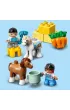 LEGO DUPLO Stadnina i kucyki 10951